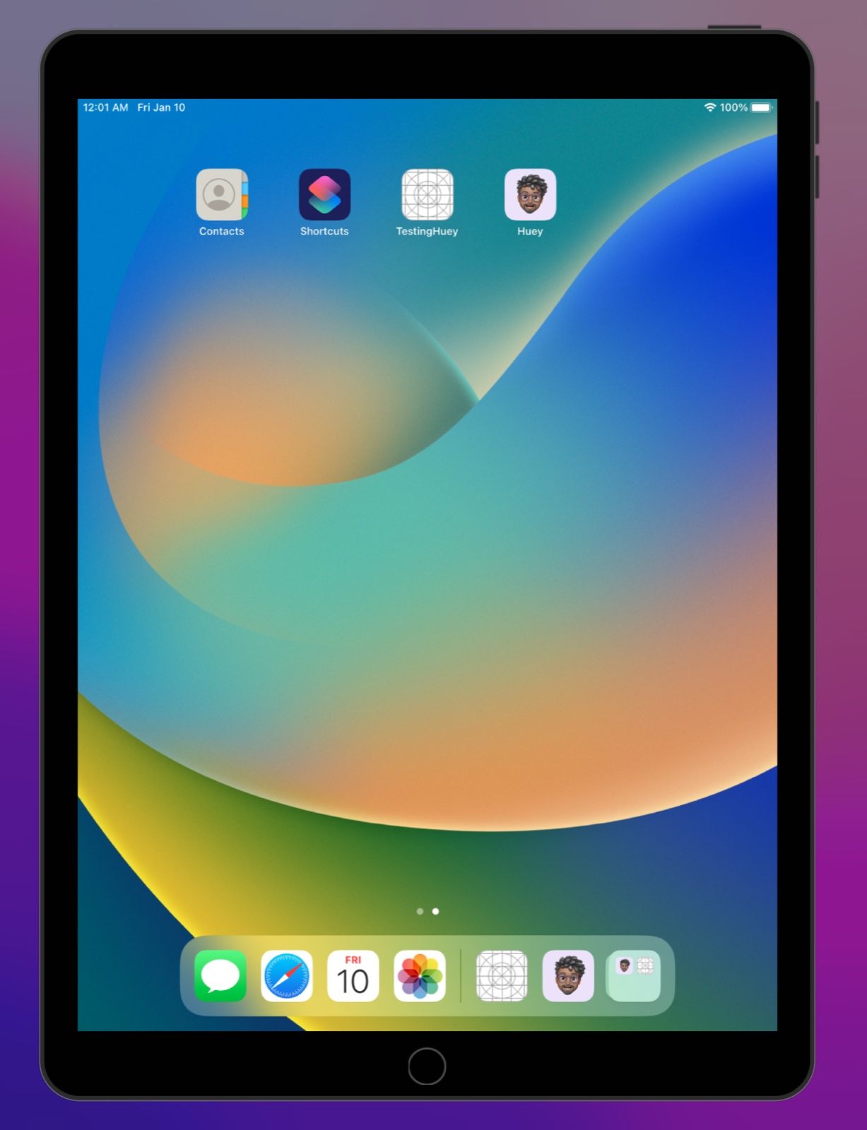 iPad home screen with Huey installed